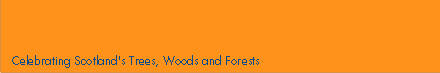 treefest banner
