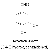 Strukturformel Protocatechualdehyd