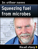 Squeezing fuel from microbes