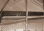 Grand piano detail