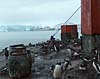 Trinity Island, Antarctic Peninsula. Photo: Lyubomir Ivanov