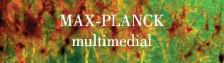 Max-Planck Multimedial