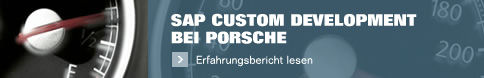 SAP Custom Development bei Porsche