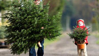 An adult and a child carry Christmas trees