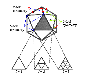 Icosahedral symmetry