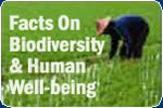 Facts on Biodiversity & Human Well-being