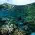 Marine Protected Areas - the present state of tropical marine biodiversity conservation
