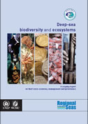 Deep-sea biodiversity and ecosystems: A scoping report on their socio-economy, management and governance