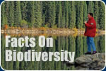 <!---Biodiversity foldout PDF: 727KB--->Global Biodiversity Outlook