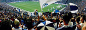 Fans in der Schalke-Arena; Rechte: dpa