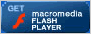 Get the newest version of the Macromedia Flash Player.