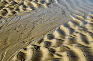 Nahaufnahme Watt, gewellter Sandboden mit zwei Wattwurmhufchen.