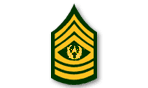 Photo of Command Sergeant Major insignia