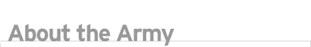 About The Army