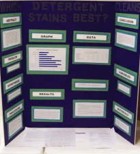 Photograph of Savannah's Science Project