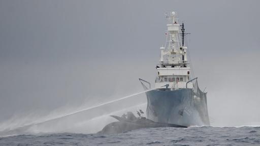 Das Walfangschiff "Shonan Maru 2" beim Zusammensto mit der "Ady Gil"  (Foto: AFP)