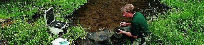 Ein Mitarbeiter der Wasserwirtschaftsverwaltung bei der Untersuchung eines Fließgewässers