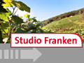 Weinreben in der Sonne, Studio Franken Newsletter | Bild: dpa; Montage: BR