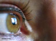 Ein Auge (Foto: Bilderbox)