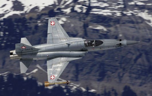 F-5E (Vergrösserung im neuen Fenster)