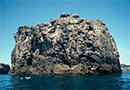Mokohinau Islands, Hauraki Gulf. Photo copyright: DOC. 