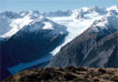 Fox Glacier. Photo: Bruce Postill. 