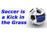 soccer is a kick in the grass
