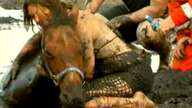 Tierdrama - Helfer retten Pferd aus Treibsand