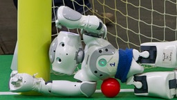 Fußball-Roboter liegt im Tor | Bild: picture-alliance/dpa