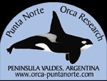 Punta Norte Orca Research