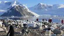 Living Planet Die Antarktis, der Tourismus und der Umweltschutz