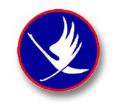 Logo Fliegerstaffel 19